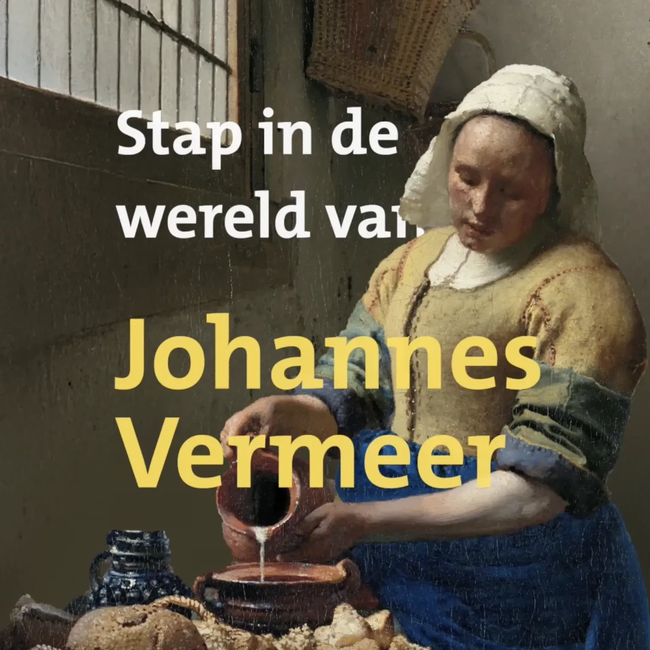 Vermeer Centrum Delft